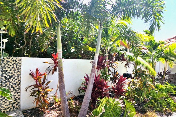 Foto Curacao vakantiehuis huren - Villa Magellan Jan Thiel